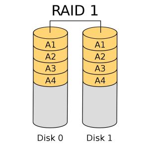 RAID 1 Mirror