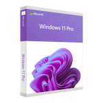 Microsoft Windows 11 Pro